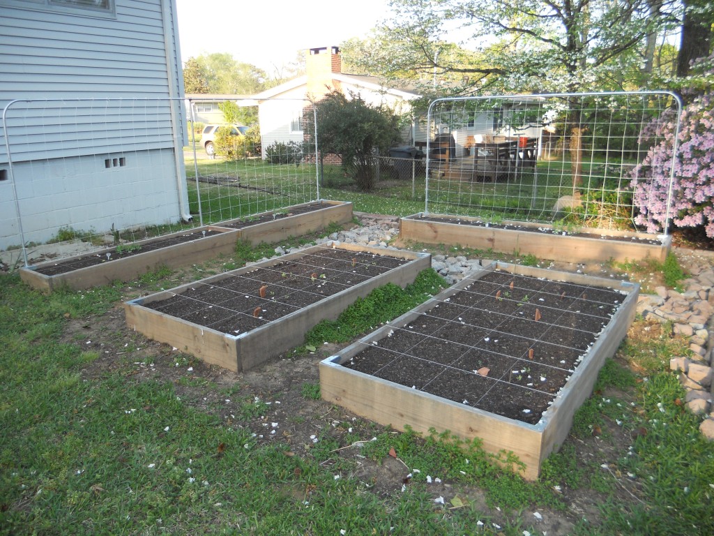 Conduit Trellises For The RaisedBed Garden Andrew Seltz The GoTo Guy!